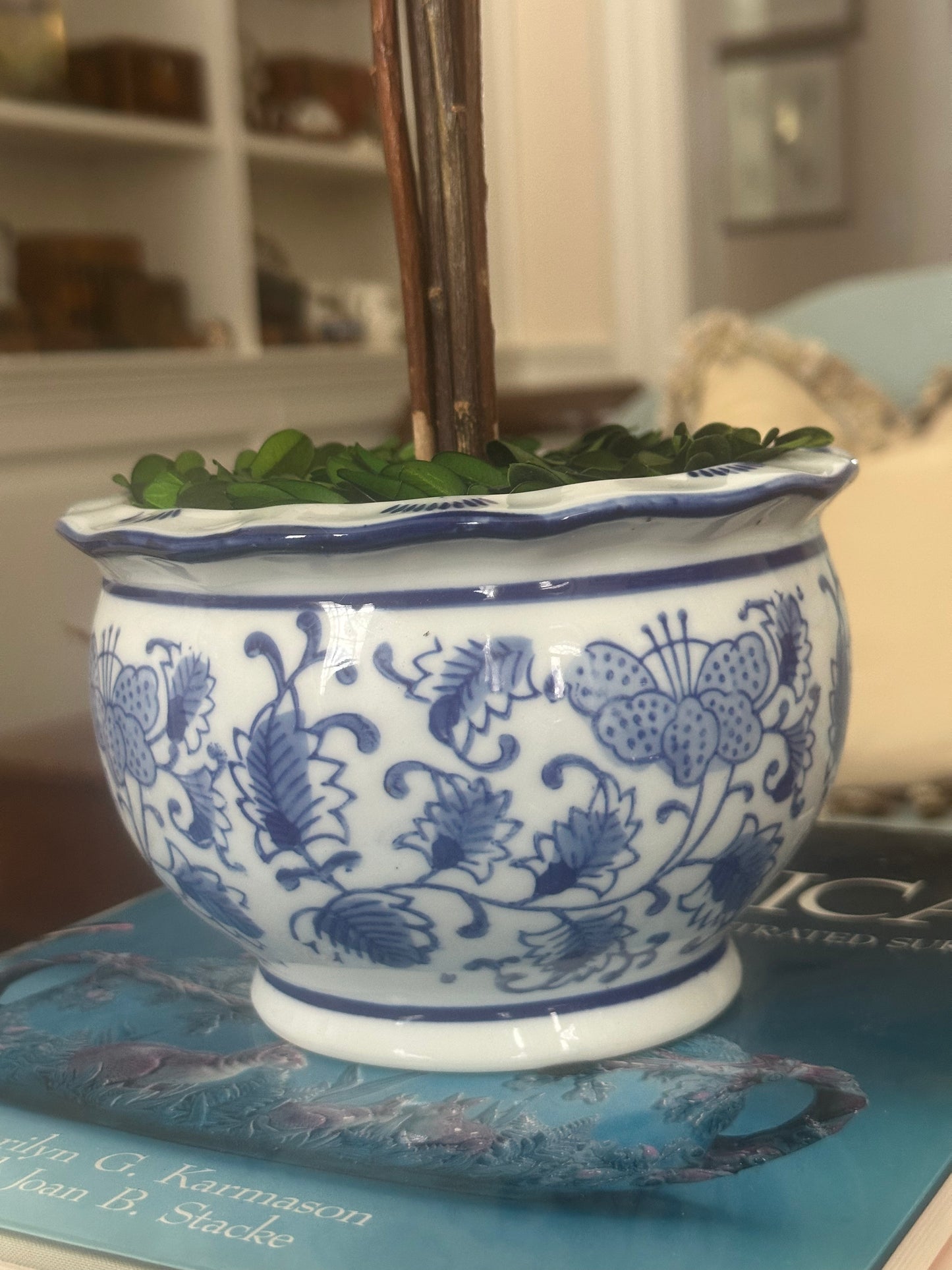 Blue & White Boxwood Topiary Tree