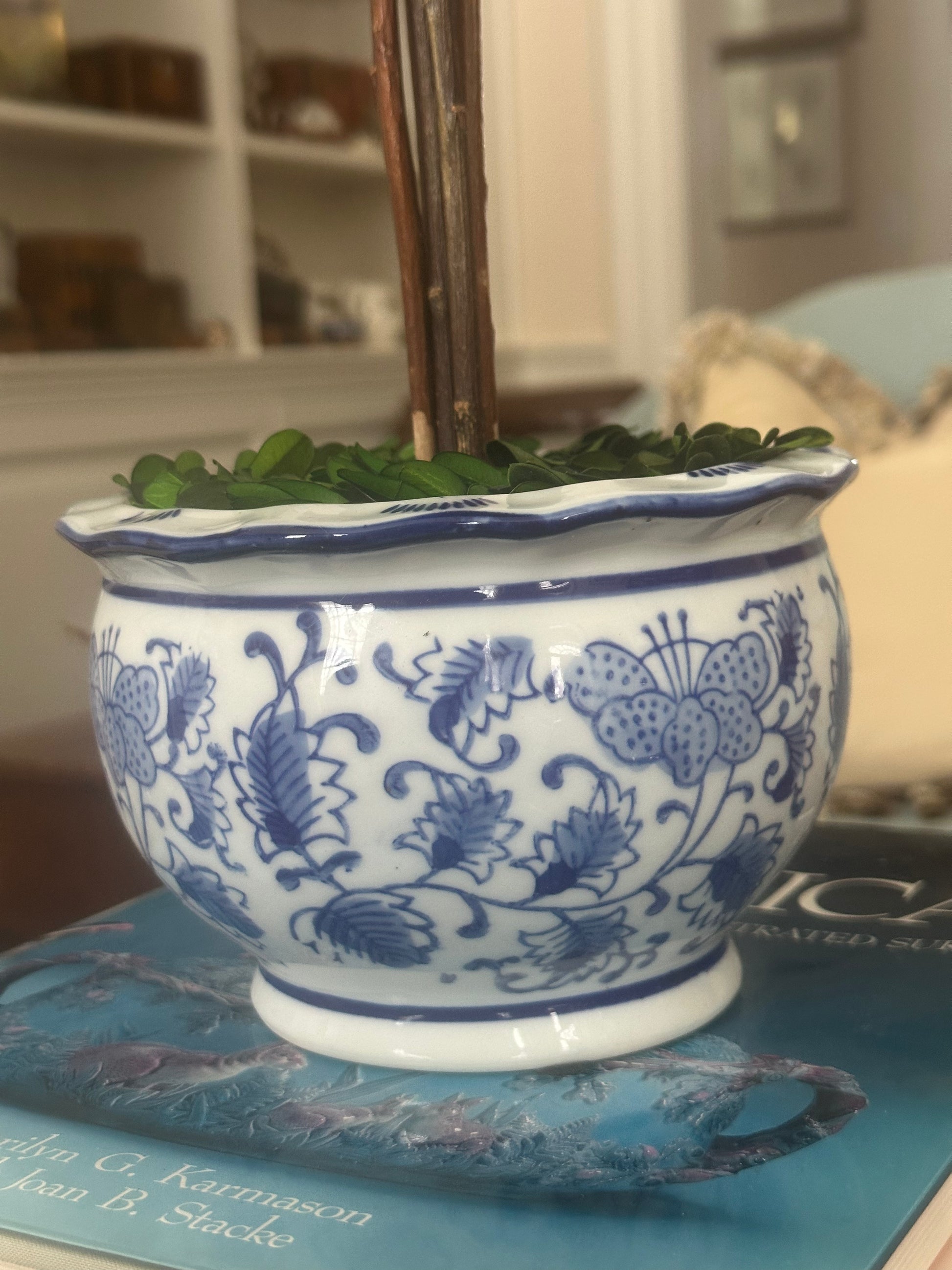 Blue & White Boxwood Topiary Tree
