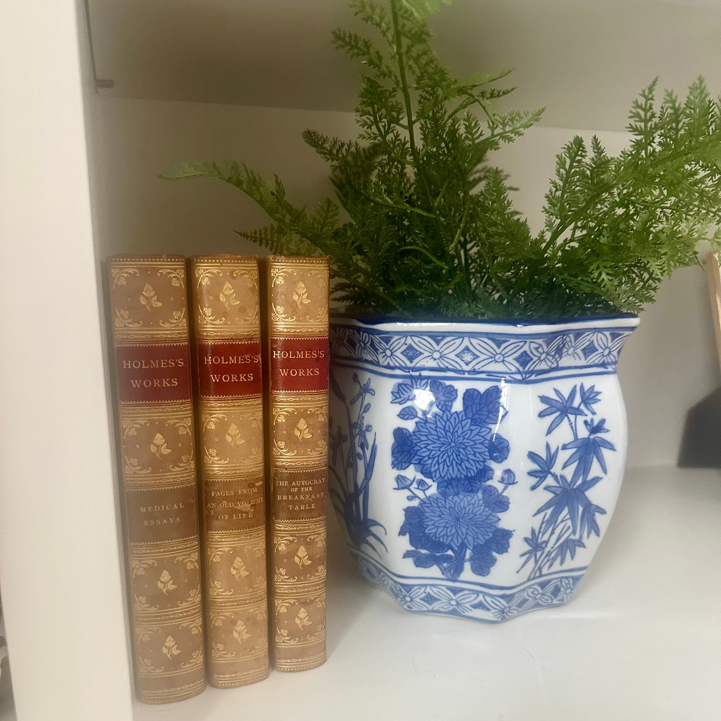 Blue & White Ceramic Chinoiserie Planter,  7.5"