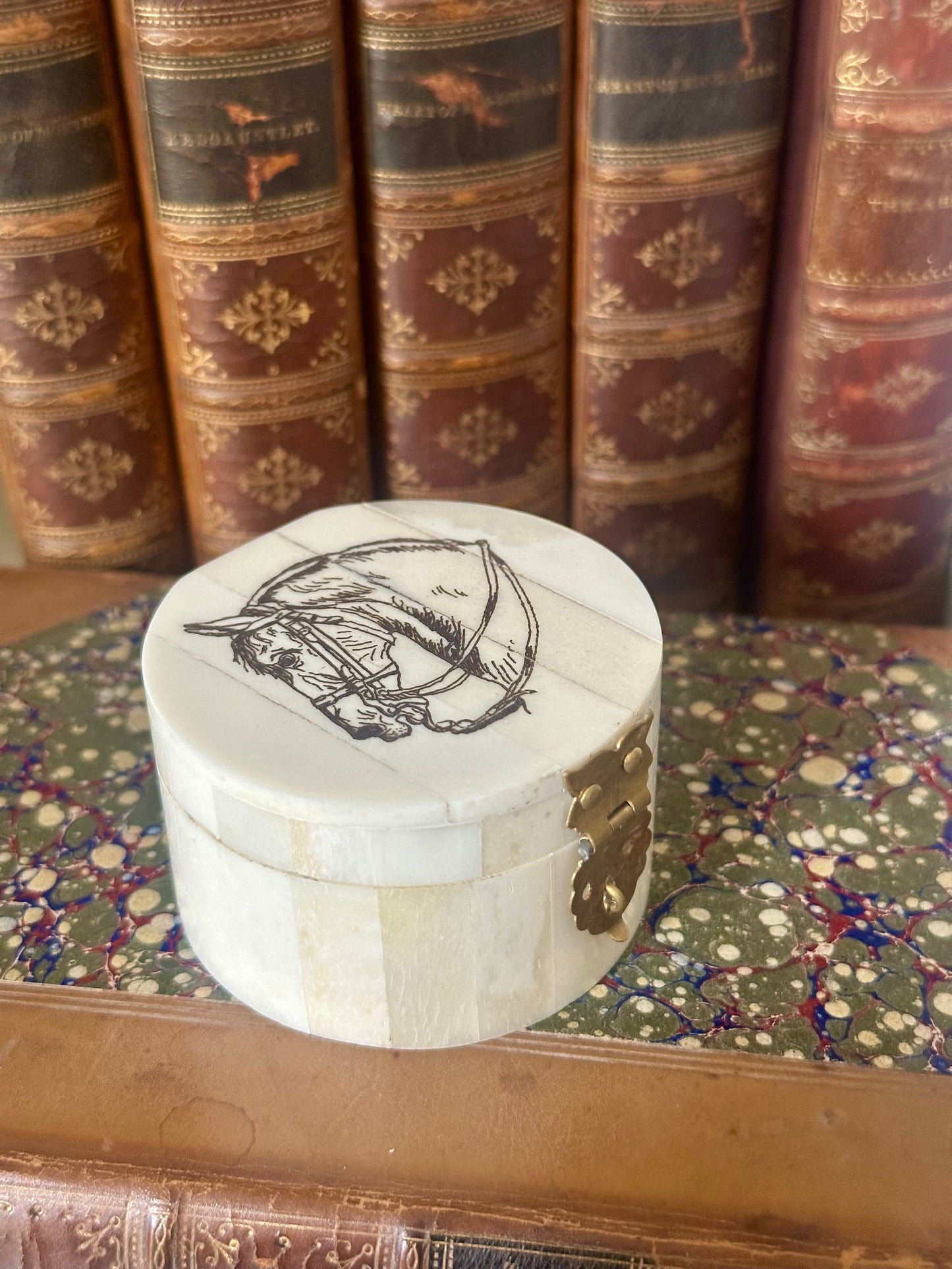 Horse Head Design Round Jewelry - Trinket Bone Box, 2-1/4"
