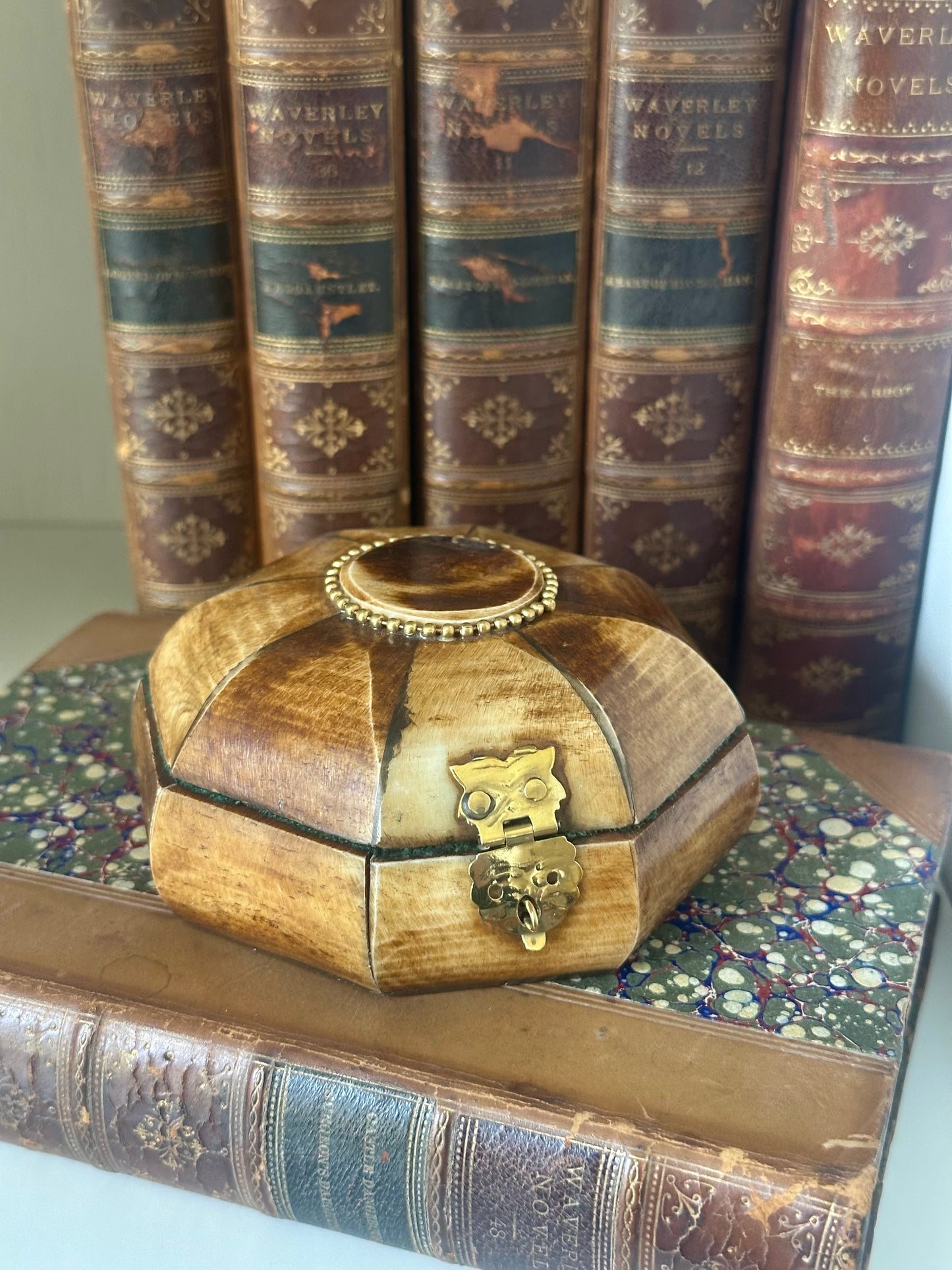 Antiqued Primitive Bone Box with Brass Latch, 3-1/4"