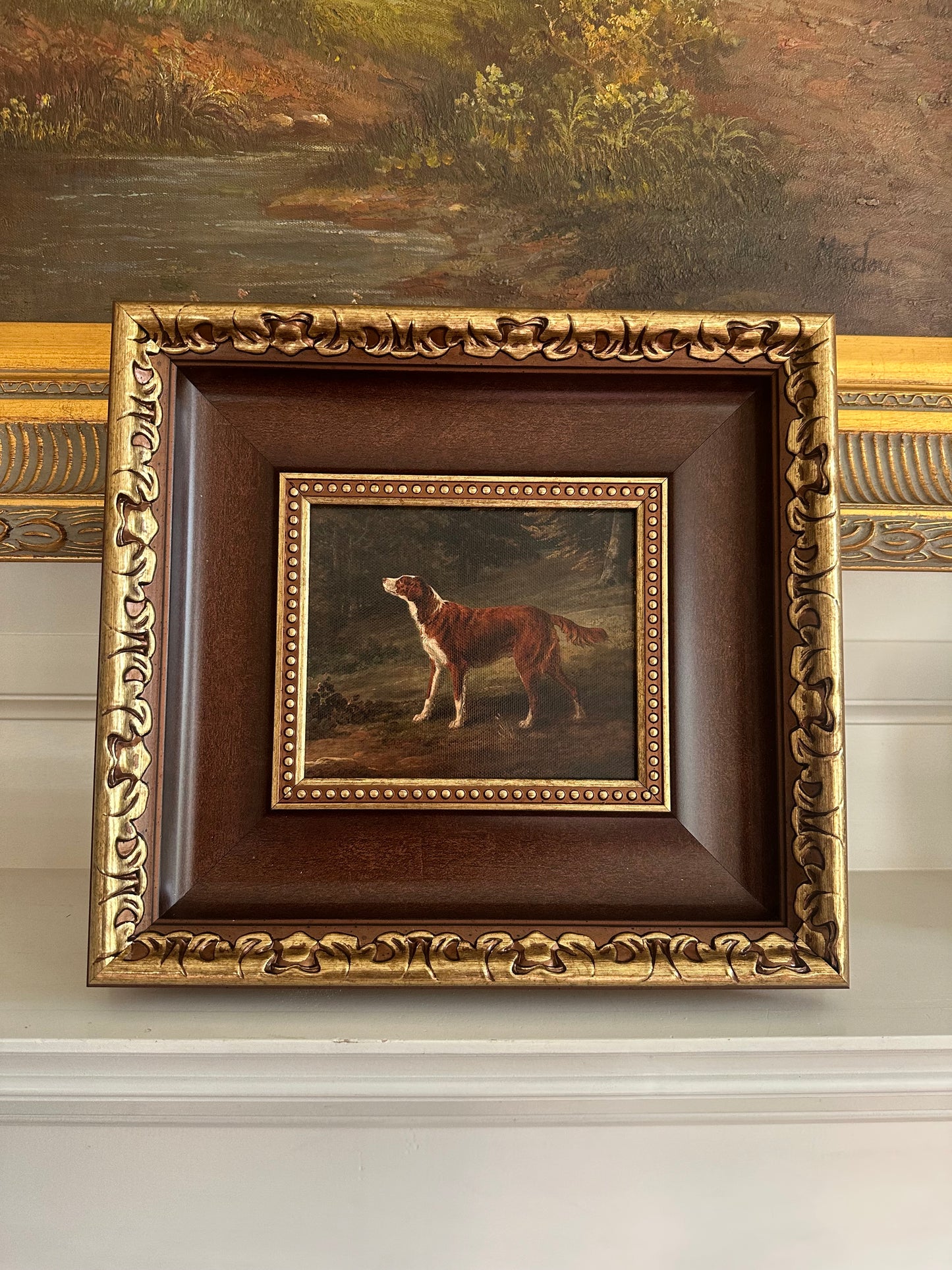 Irish Red and White Setter Giclée