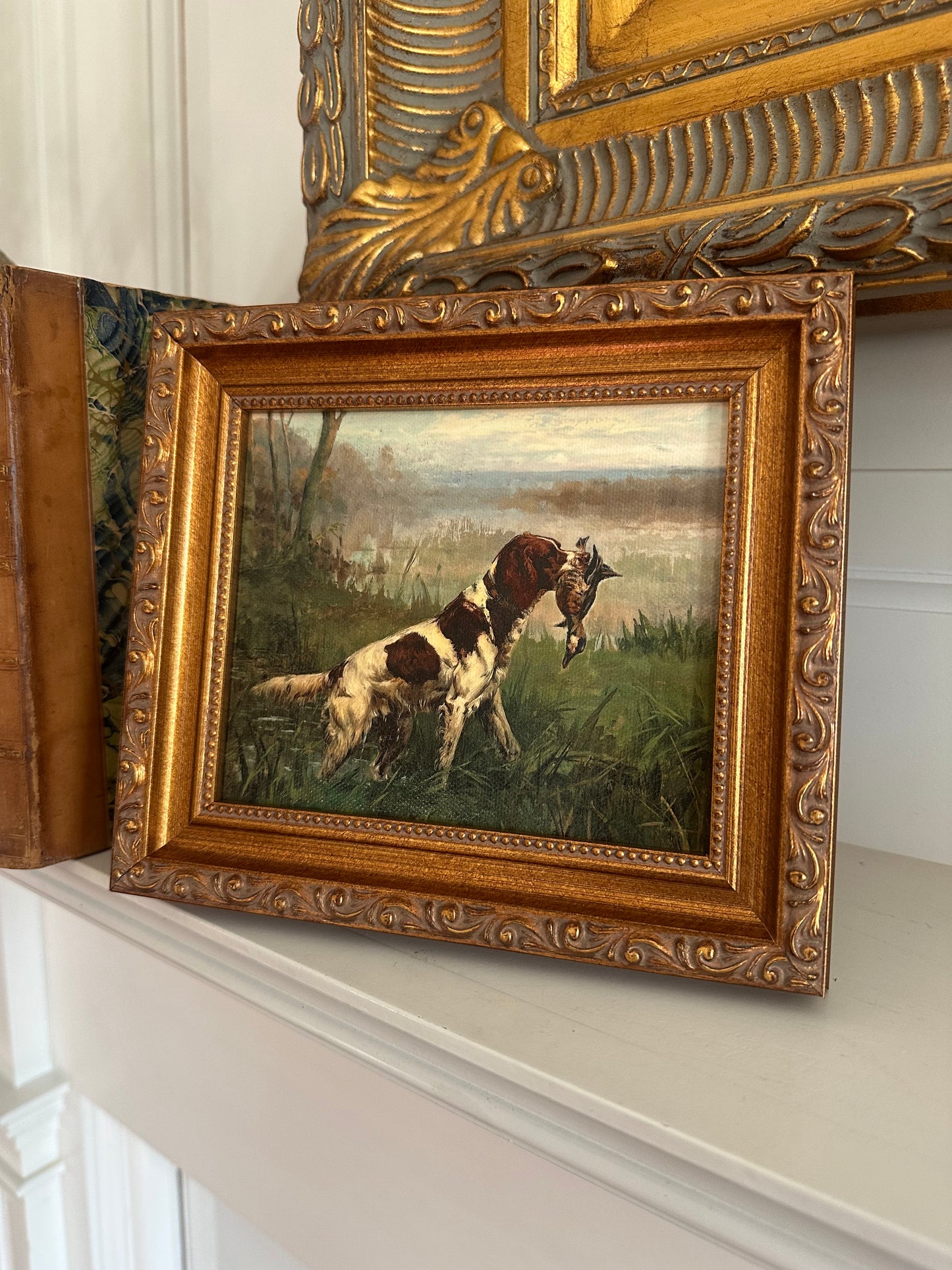 Setter and a Ruddy Duck Giclée