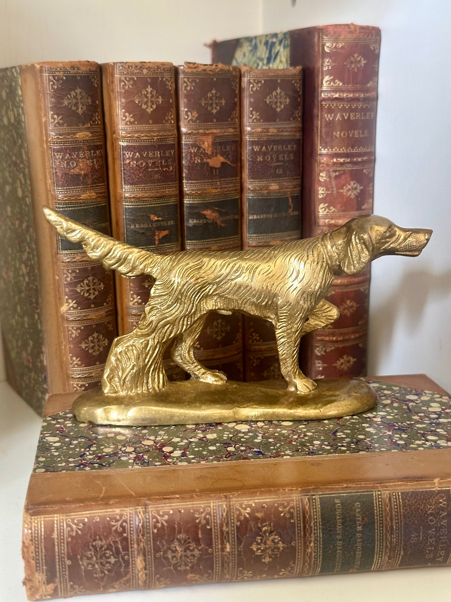 Solid Brass Pointer Dog Paperweight, 6”