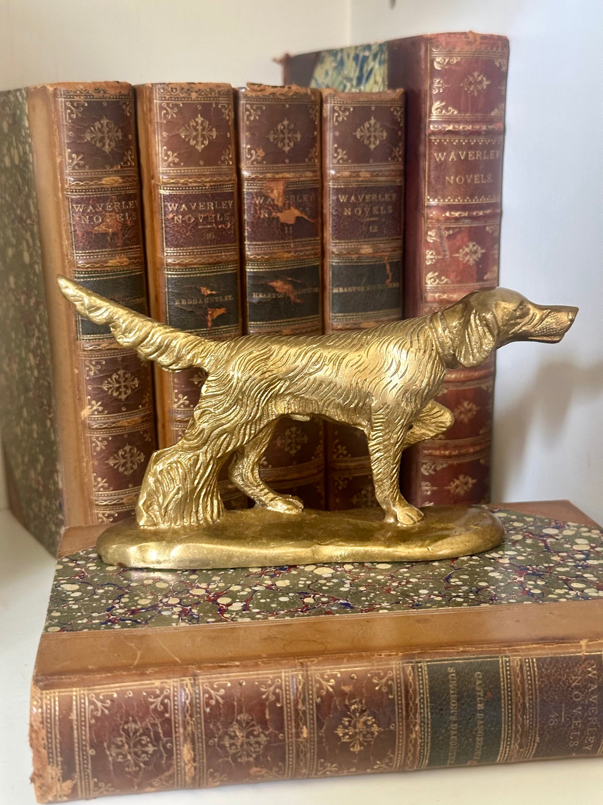 Solid Brass Pointer Dog Paperweight, 6”
