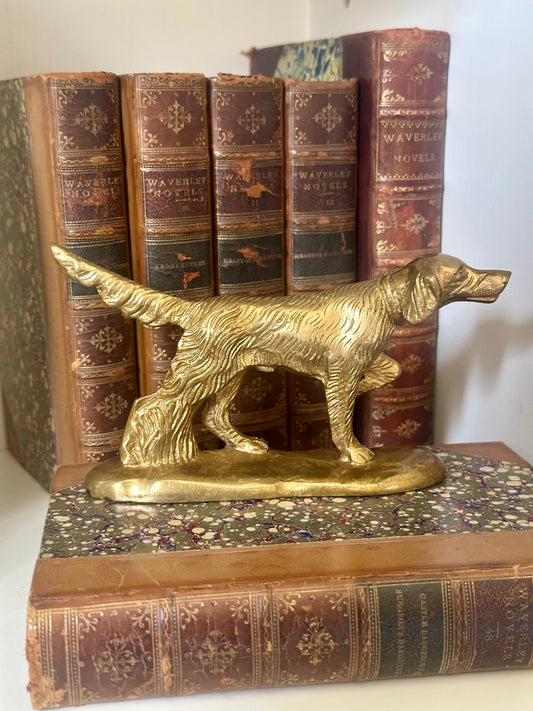 Solid Brass Pointer Dog Paperweight, 6”